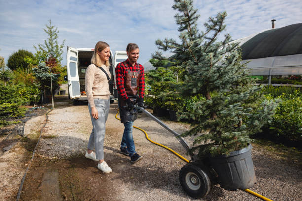 Best Lawn Pest Prevention  in Blennerhassett, WV